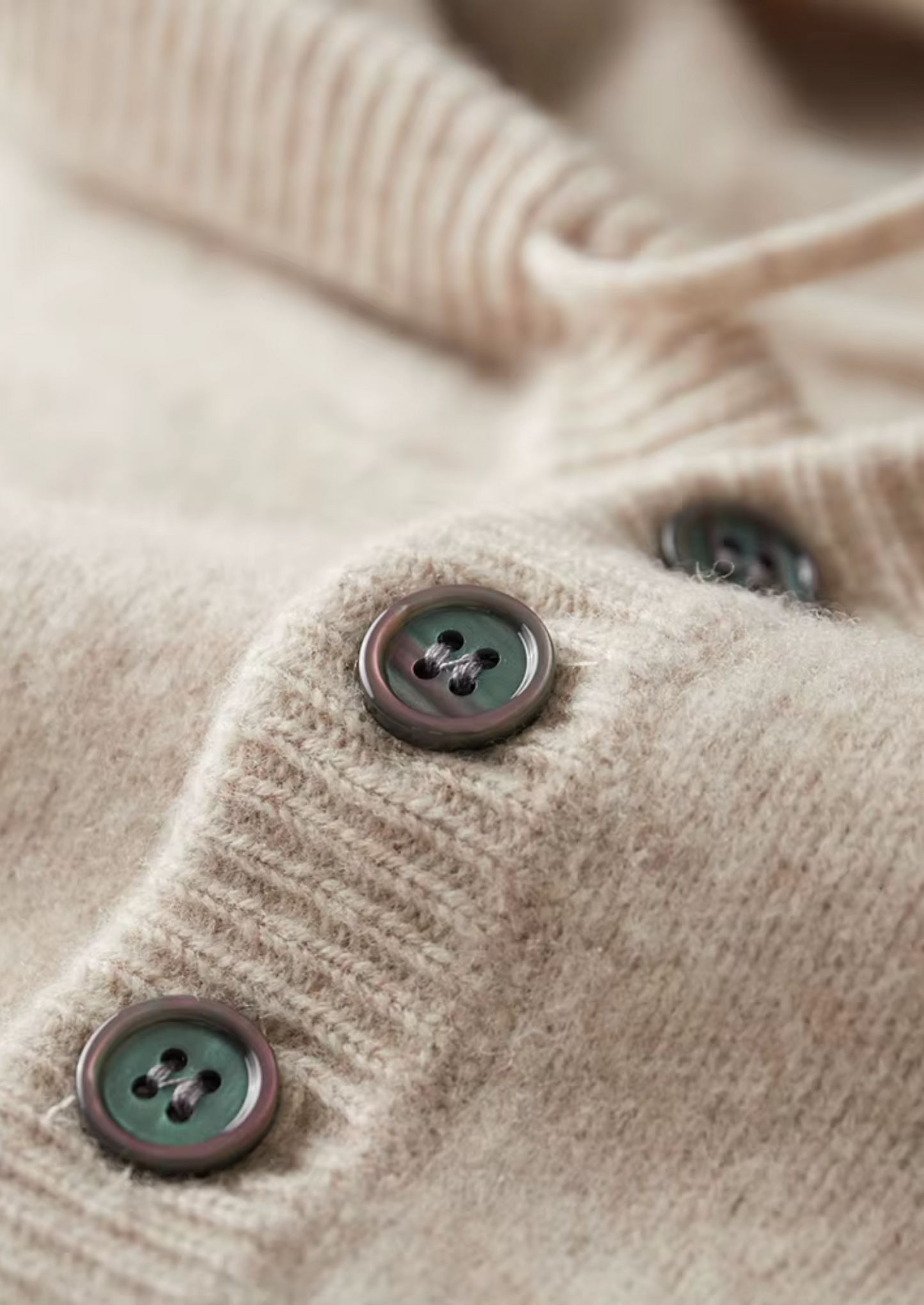 PURE EXTRA-FINE MERINO WOOL BUTTON HOODIE